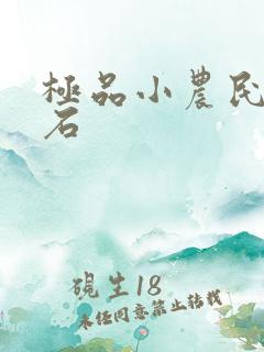 极品小农民 久石