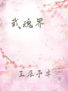 武魂界