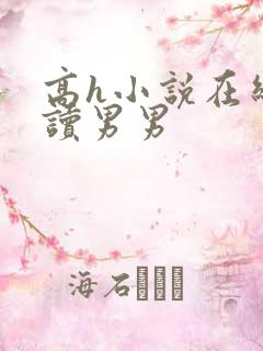 高h小说在线阅读男男