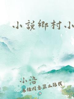 小说乡村小邪医