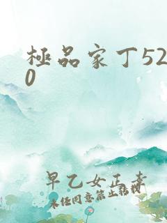极品家丁5200