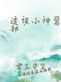 透视小神医第二部