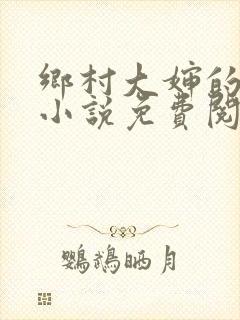 乡村大婶的艳史小说免费阅读全文无