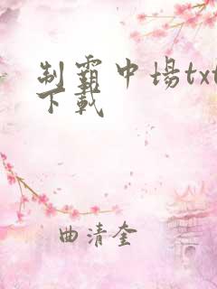 制霸中场txt下载