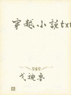 穿越小说txt