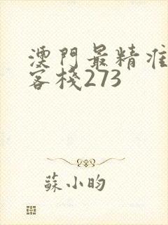 澳门最精准龙门客栈273