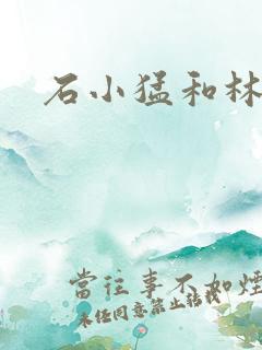 石小猛和林夏