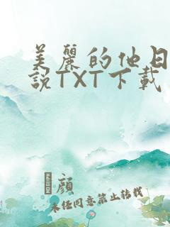美丽的他日剧小说TXT下载