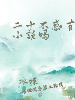 二十不惑有原著小说吗