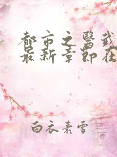 都市之医武阎王最新章节在线阅读
