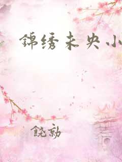 锦绣未央小说