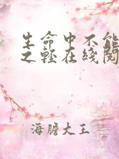 生命中不能承受之轻在线阅读
