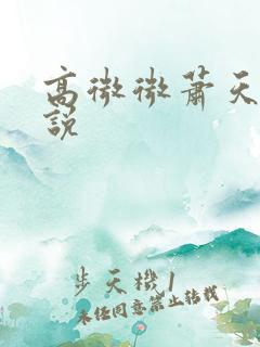 高微微萧天策小说