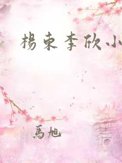 杨东李欣小说
