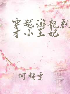 穿越游龙戏凤天才小王妃
