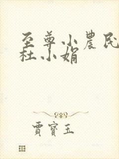 至尊小农民王鸣杜小娟