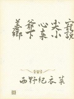姜爷心尖宠她从乡下来小说在线收听