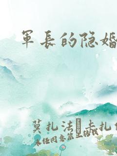 军长的隐婚娇妻