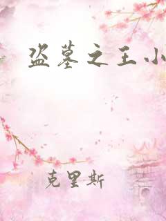 盗墓之王小说