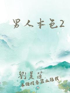 男人本色2