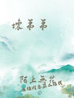 坏弟弟