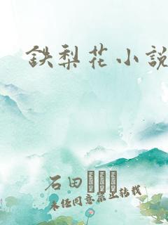 铁梨花小说