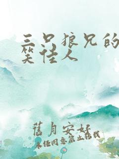 三只狼兄的宠妻笑佳人