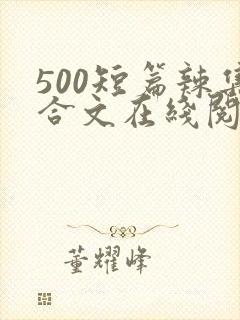 500短篇辣集合文在线阅读