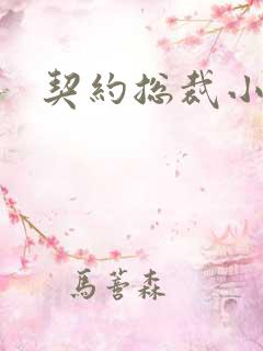 契约总裁小萌宝