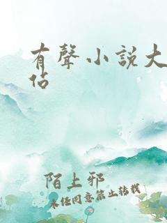 有声小说大全网站
