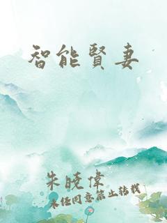 智能贤妻
