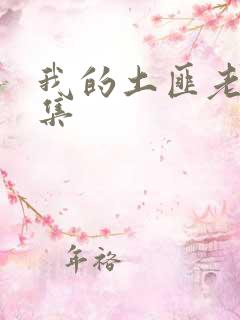 我的土匪老婆全集