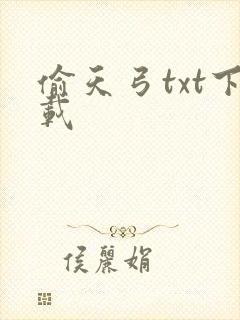 偷天弓txt下载
