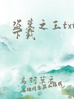 盗墓之王txt下载