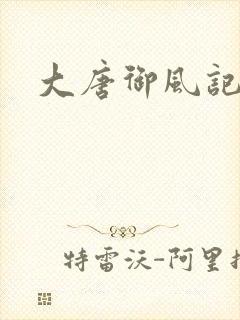 大唐御风记