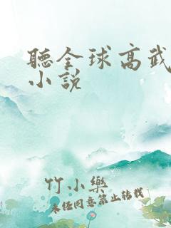 听全球高武有声小说