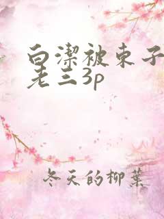 白洁被东子老二老三3p