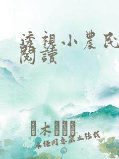 透视小农民免费阅读