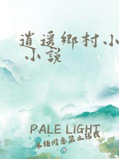 逍遥乡村小神医 小说