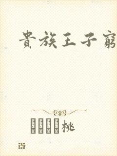 贵族王子穷公主