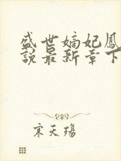 盛世嫡妃凤轻小说最新章下载