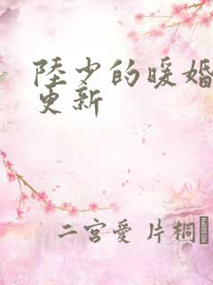 陆少的暖婚新妻更新