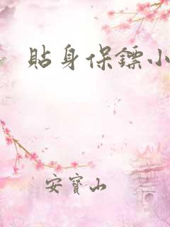 贴身保镖小说