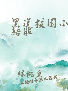 黑道校园小说完结版
