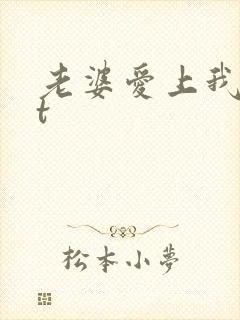 老婆爱上我txt