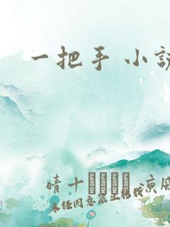 一把手 小说