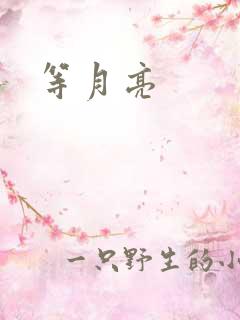 等月亮