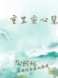 重生灵心慧智
