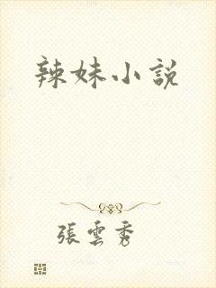 辣妹小说