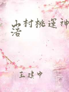 山村桃运神医陈浩